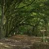 Ken Hill walking route - Norfolk County Council