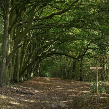 Coastal Treasures walking routes - Norfolk County Council