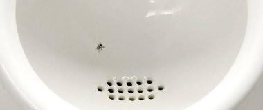 A painted-on fly in a urinal. These have been used at Schiphol airport in Amsterdam to encourage men to aim at it, so reducing spillage and clean-up costs.