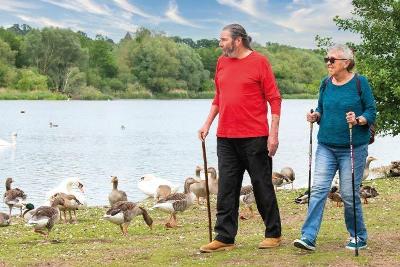 Two people walking by a stretch of water with lots of ducks and geese around